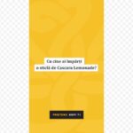 Custom KofiTi - Animations Set - Portrait